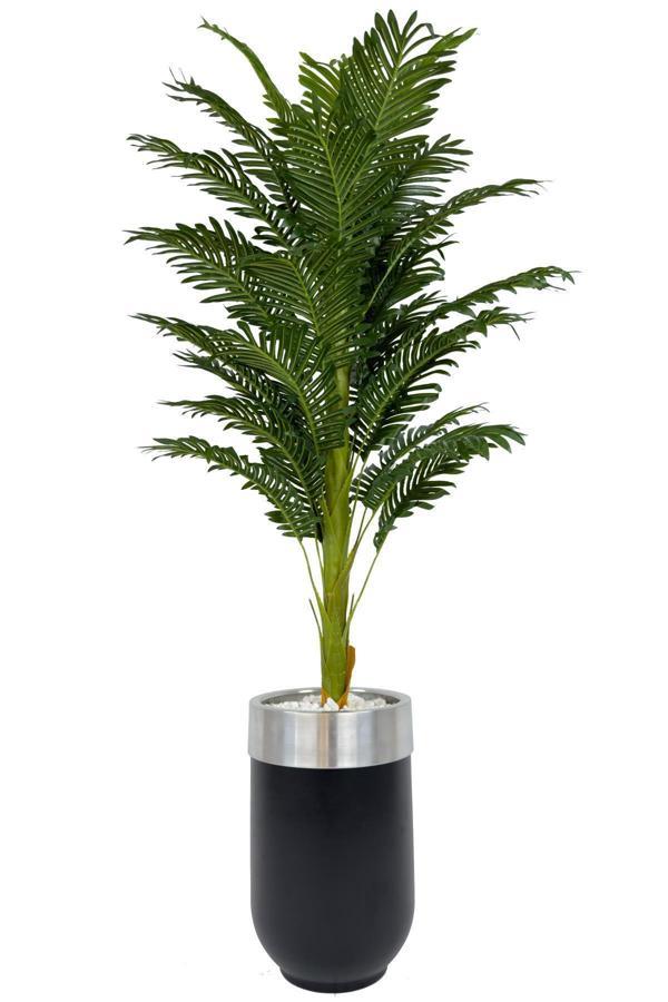 Biçiçek Areka Palmiyesi 170Cm Metal Siyah Gümüş Darbuka Saksıda - Image 1