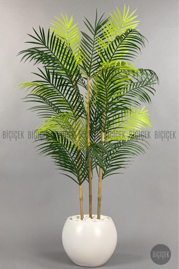 Biçiçek 120Cm Areka Ağacı 24 Yapraklı Küre Saksıda - Image 1