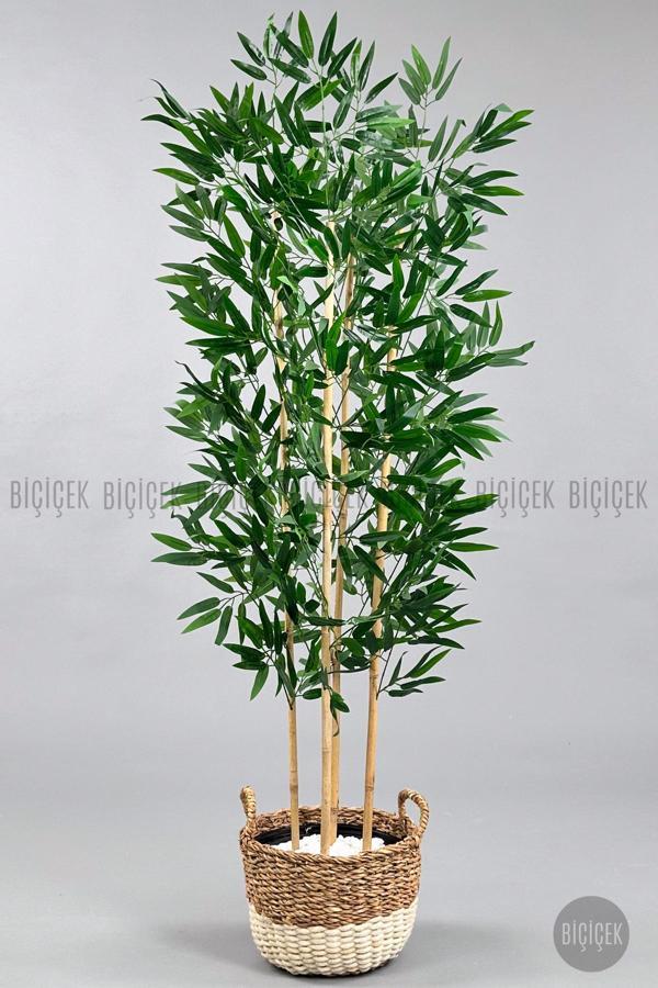 Biçiçek 140 Cm Yapay Bambu Ağacı Krem Hasır Saksıda - Image 1