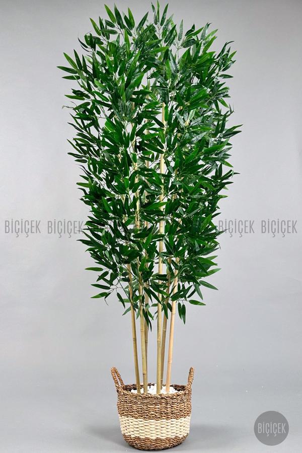 Biçiçek Yapay Bambu Ağacı 170Cm Krem Hasır Saksıda - Image 1