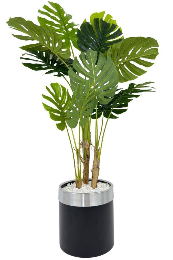 Biçiçek Monstera Ağacı 160Cm Siyah Gümüş Metal Saksıda - Image 1