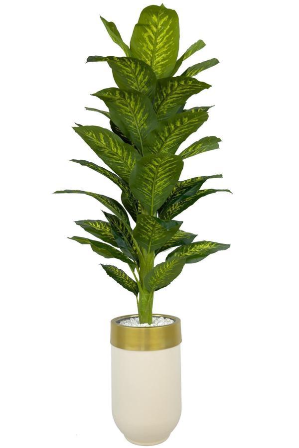 Biçiçek Difenbahya 170Cm Metal Krem Gold Darbuka Saksıda - Image 1