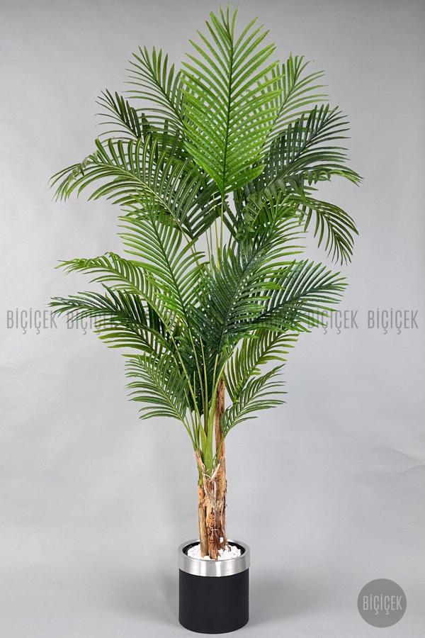 Biçiçek Areka Palmiyesi 220Cm Metal Siyah Gümüş Saksıda - Image 1