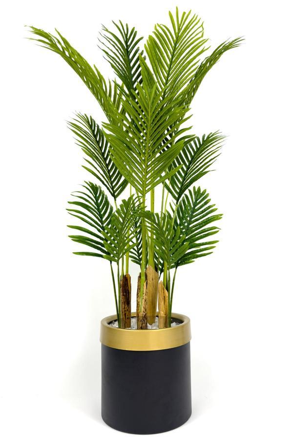 Biçiçek Areka Palmiyesi 160Cm Metal Saksıda Black Gold - Image 1