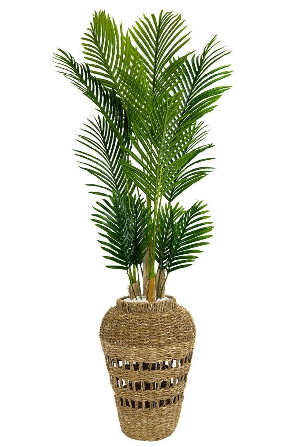 Biçiçek Luxury Areka Palmiyesi 180Cm Hasır Saksıda Bohem3 - Image 1