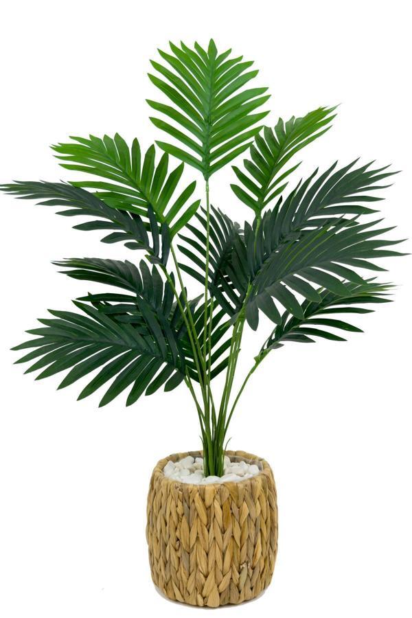 Biçiçek Areka Palmiyesi 70 Cm Hasır Saksıda - Image 1