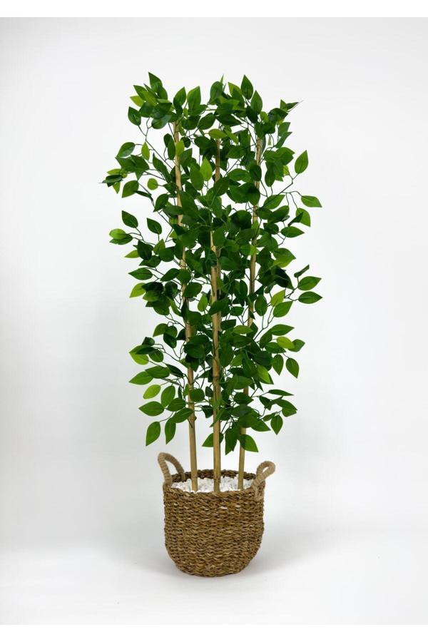Biçiçek 140 Cm Yapay Benjamin Ağacı Hasır Saksıda - Image 1