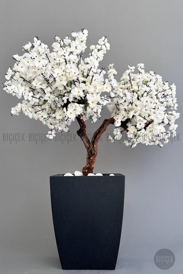 Biçiçek Bonzai Gövdeli Beyaz Sakura Ağacı 100Cm Dış Mekana Uygun - Image 1