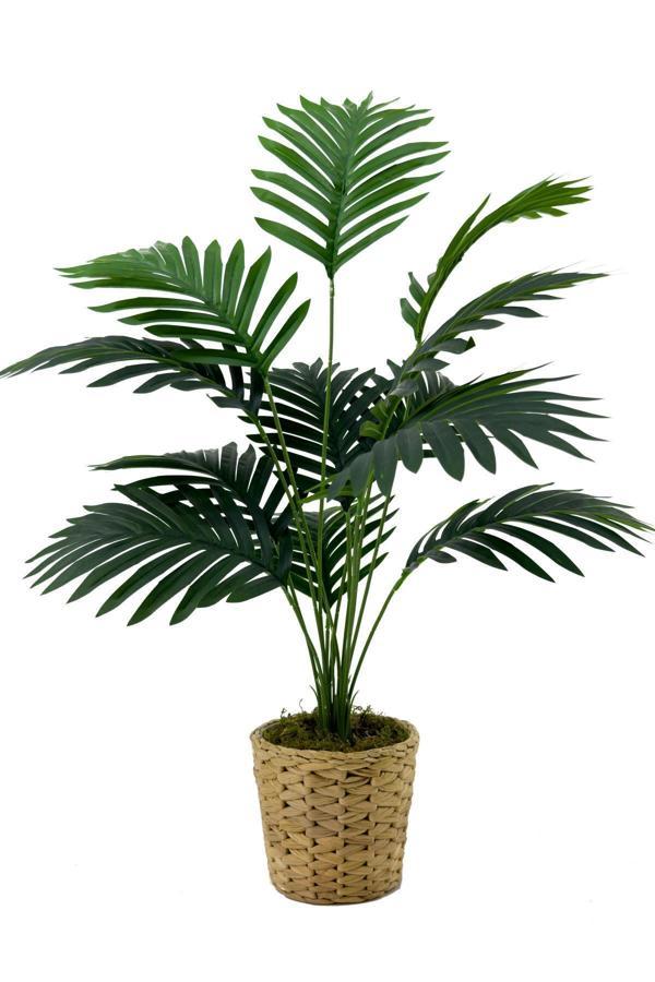 Biçiçek Areka Palmiyesi 75 Cm Fejka Hasır Saksıda - Image 1