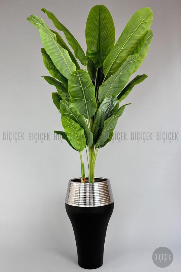 Biçiçek 220Cm Starliçe Bitkisi Cleopatra Saksıda Siyah Gümüş - Image 1