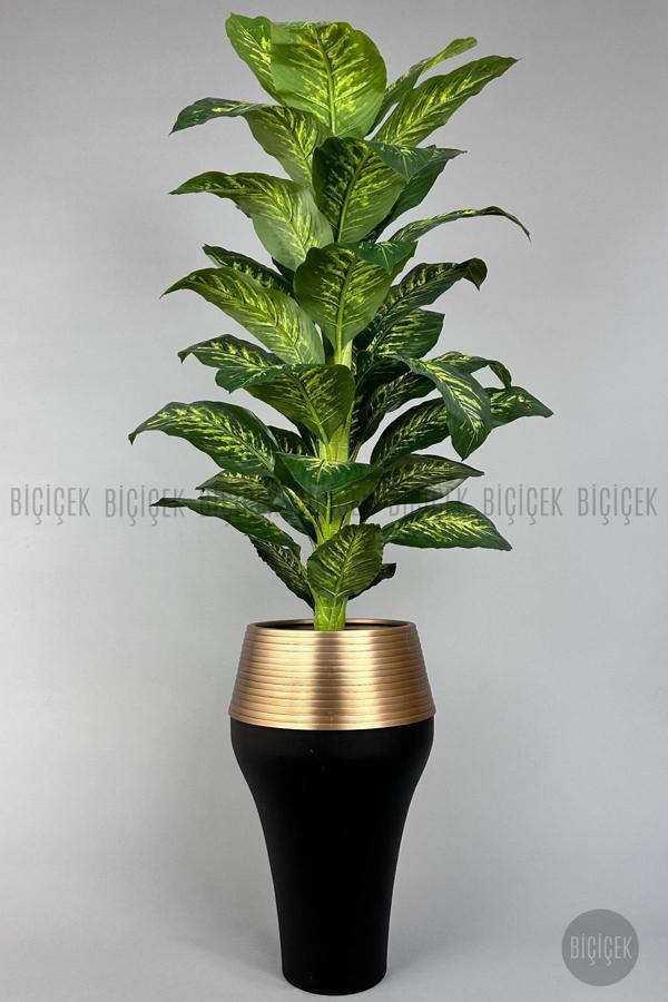 Biçiçek 190 Cm Difenbahya Bitkisi Cleopatra Saksıda Siyah Gold - Image 1