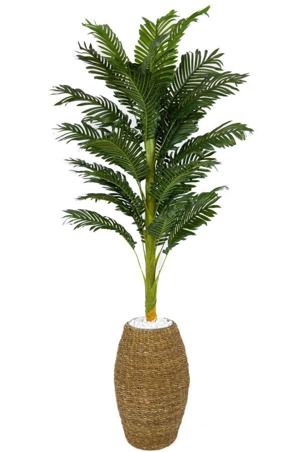 Biçiçek Luxury Areka Palmiyesi 160Cm Hasır Saksıda Bohem5 - Image 1