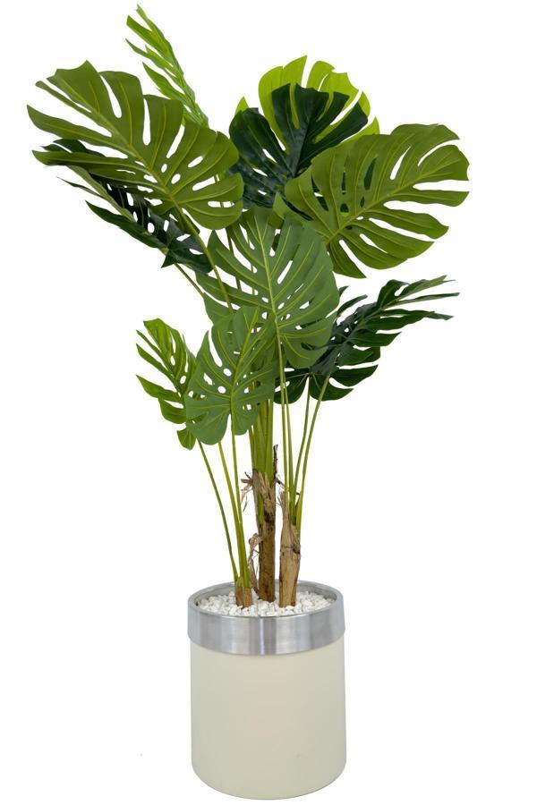Biçiçek Monstera Ağacı 160Cm Krem Gümüş Metal Saksıda - Image 1