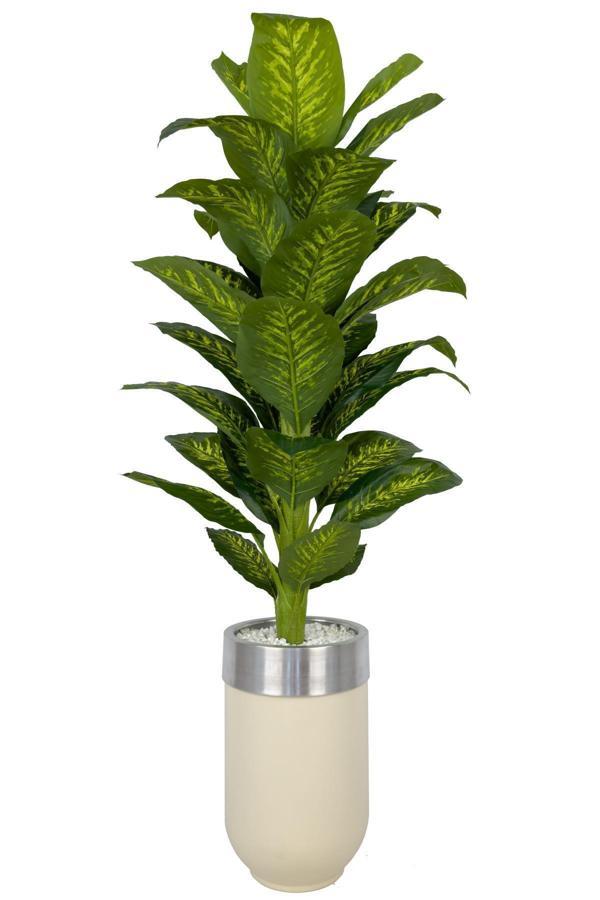 Biçiçek Difenbahya 170Cm Metal Krem Gümüş Darbuka Saksıda - Image 1