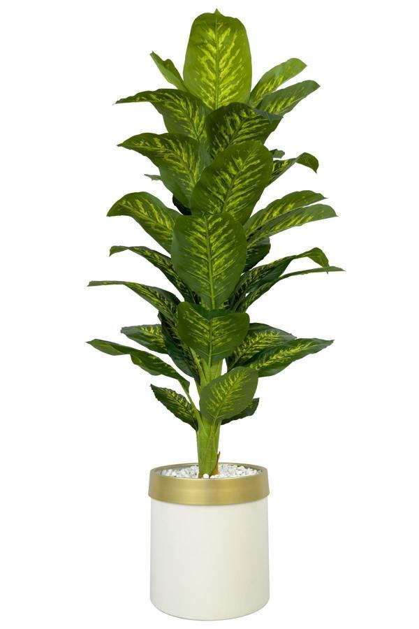 Biçiçek Difenbahya Ağacı 160Cm Krem Gold Metal Saksıda - Image 1