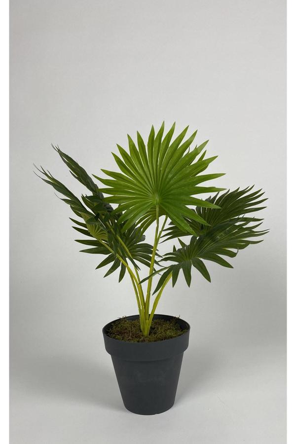 Biçiçek Yapay Çiçek Salon Bitkisi Aslan Pençesi Çiçeği Antrasit Renk Yalı Saksıda - Image 1