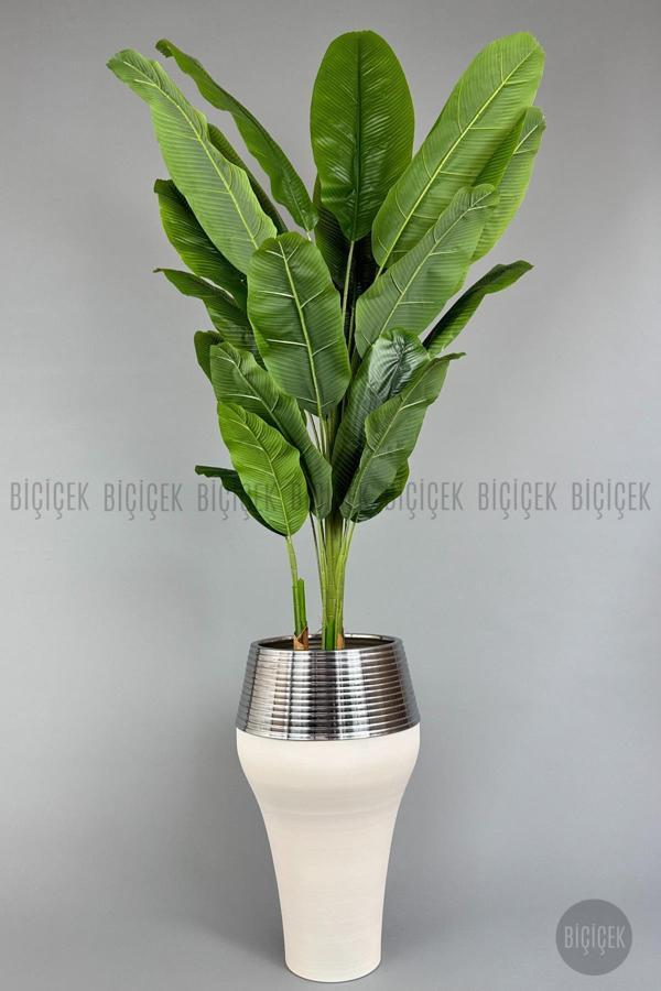 Biçiçek 220Cm Starliçe Bitkisi Cleopatra Saksıda Krem Gümüş - Image 1