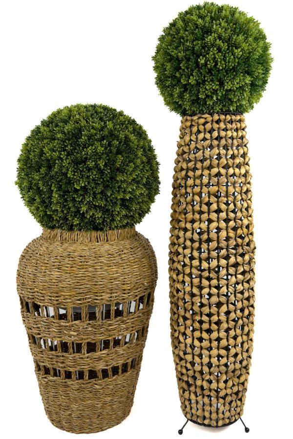 Biçiçek İkili Şimşir Ağacı Bohem Saksıda - Image 1