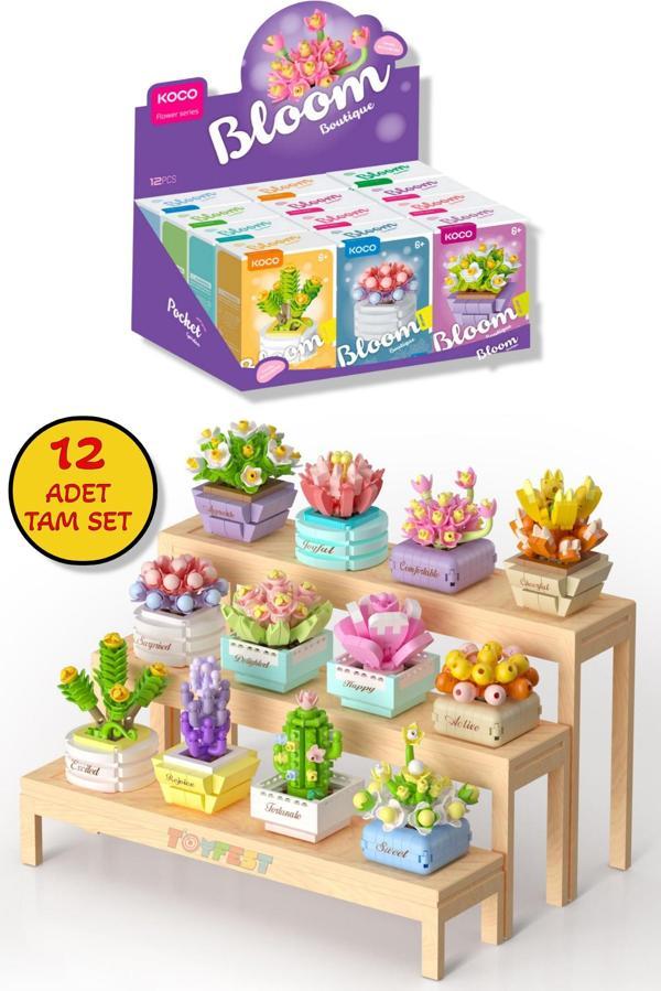 KOCO Saksı Çiçekleri Sukulent Serisi 3D Puzzle Koleksiyon Tam Set - 12 ADET - Image 1
