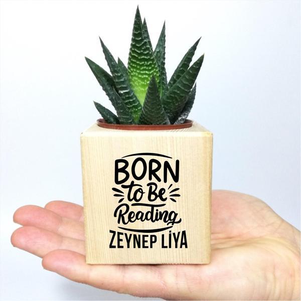 Kişiye Özel İsimli Kitap Temalı Küp Saksı ve Haworthia Sukulent - MK09 - Image 1