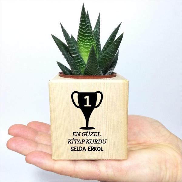 Kişiye Özel İsim Yazılı Ahşap Küp Saksı ve Haworthia Sukulent - MK01 - Image 1