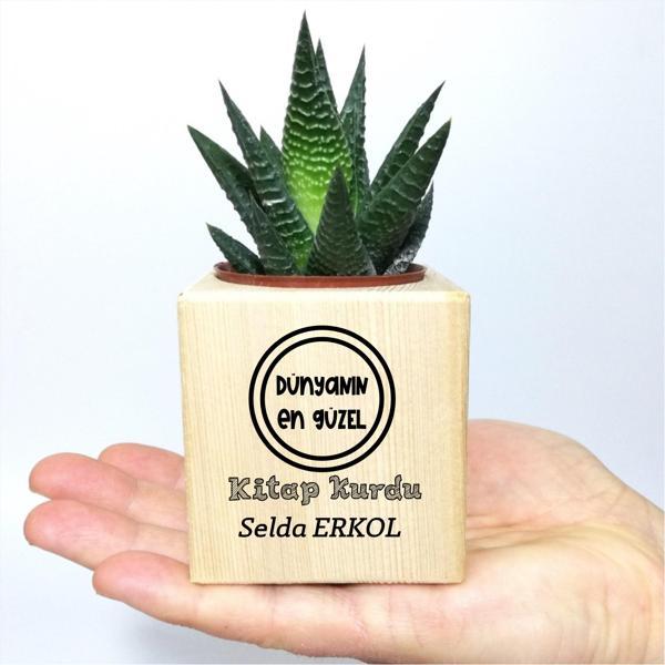 Kişiye Özel İsimli Ahşap Küp Saksı ve Haworthia Sukulent - MK02 - Image 1