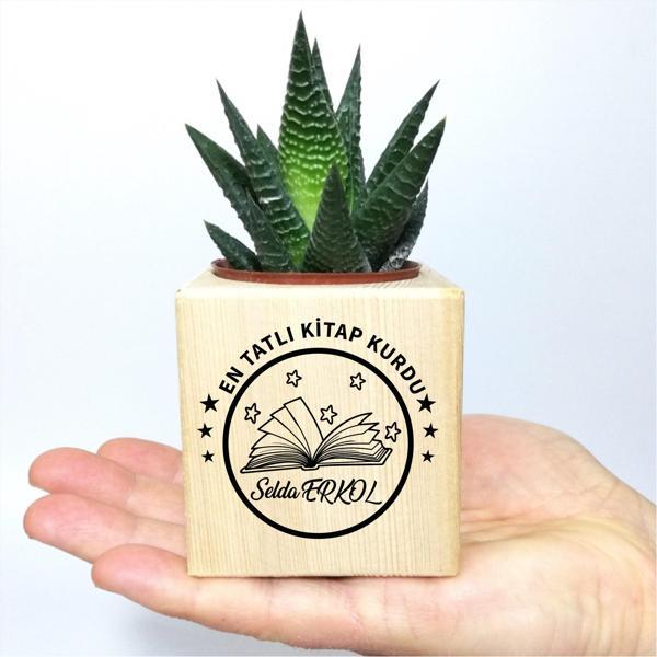 Kişiye Özel İsimli Kitap Temalı Küp Saksı ve Haworthia Sukulent - MK08 - Image 1