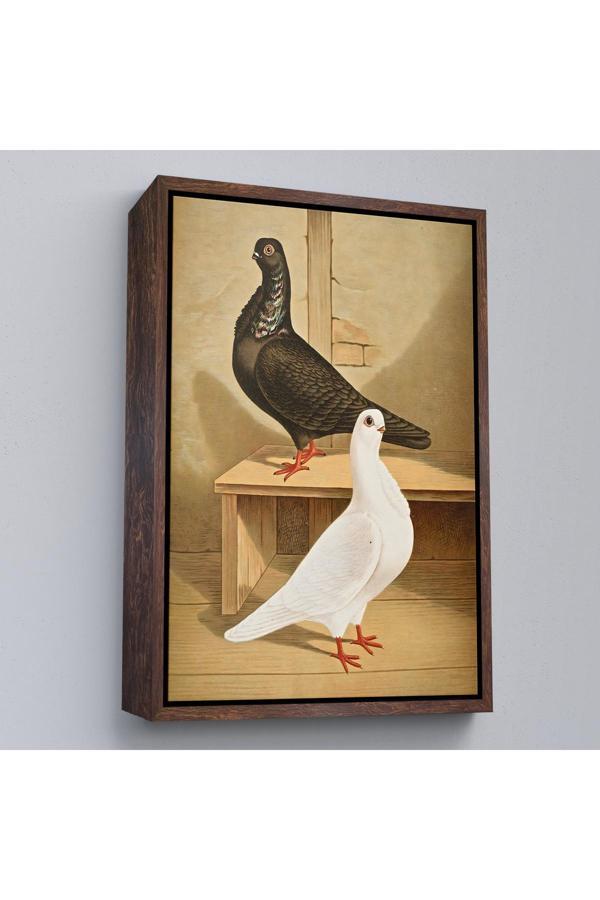 Ahşap Çerçeveli Gustav Prütz - Sevimli İtalyan Güvercinleri Tablo-7320 - Image 1