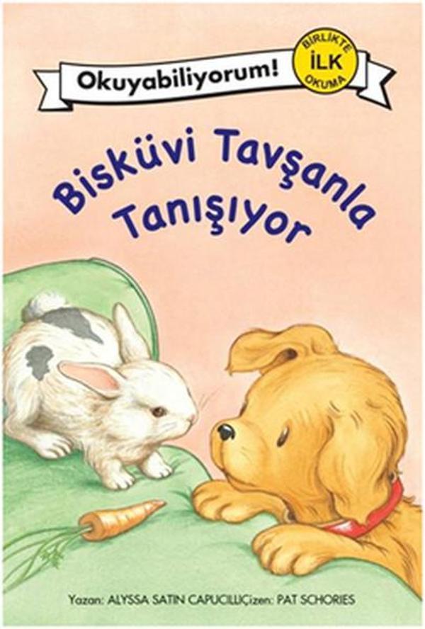 Bisküvi Tavşanla Tanışıyor - Pegasus Yayınevi - Image 1