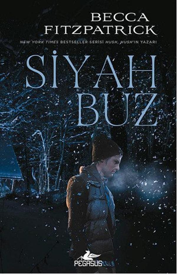 Siyah Buz - Pegasus Yayınevi - Image 1