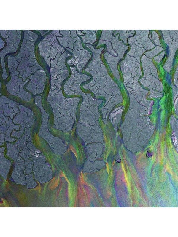 Alt-J - An Awesome Wave (White Vinyl) / Plak - Image 1