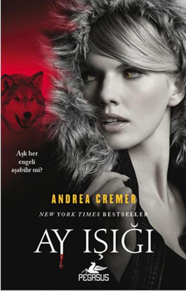 Pegasus Yayınevi Ay Işığı - Pegasus Yayınevi - Image 1