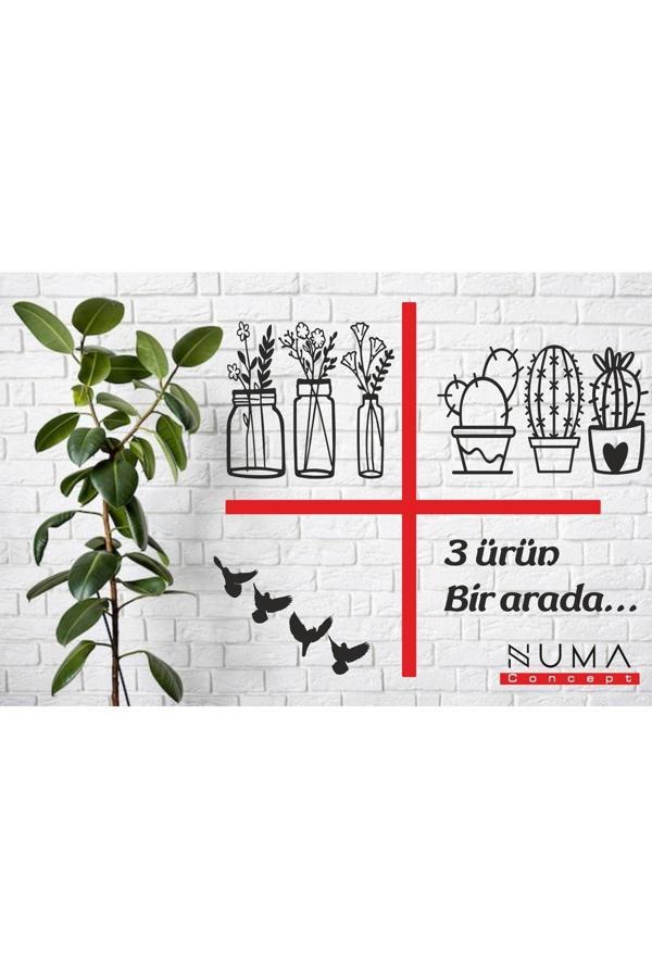 Numa Concept Saksı Kaktüs 4'Lü Kuş 3 Ürün 1 Arada Nc3Lü - Image 1