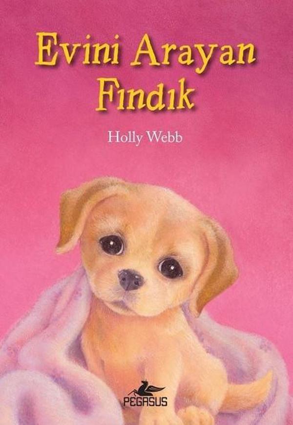 Evini Arayan Fındık - Pegasus Yayınevi - Image 1
