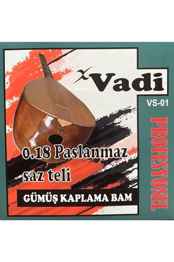 Şenses Müzik Market Müzik Vadi Uzun Sap 0.20 Gümüş Kaplama Bamlı Tel Seti Tezene Hediyeli - Image 1