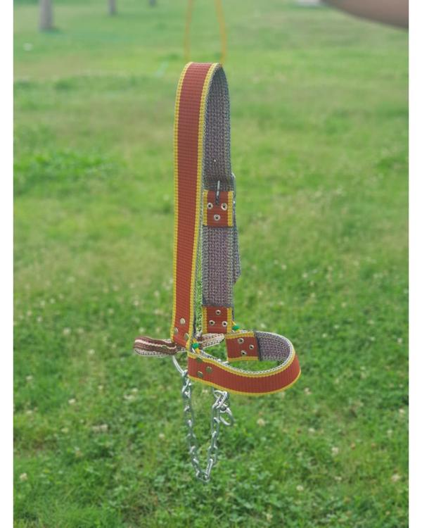 Boğa Yuları - Image 1