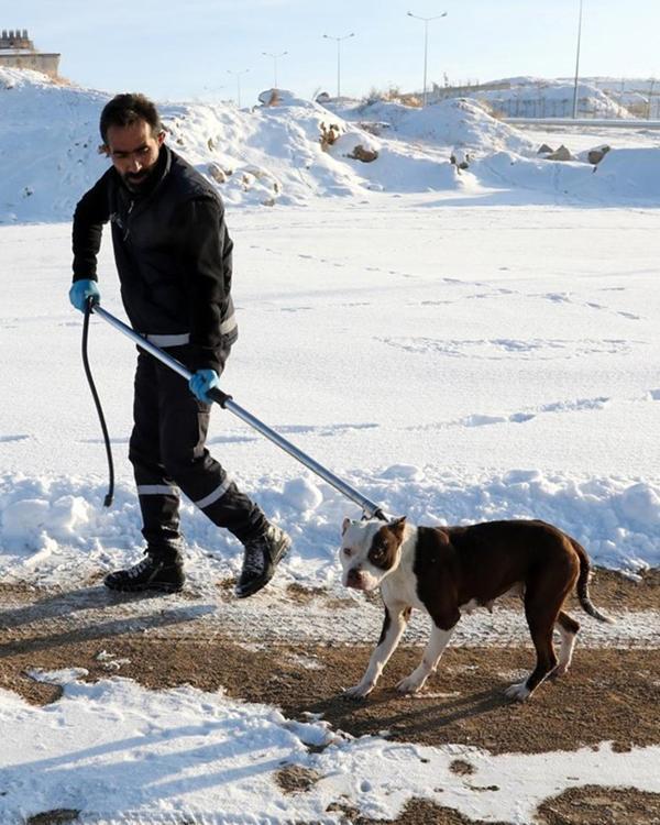 Köpek Yakalama Aleti 150 cm - Image 1