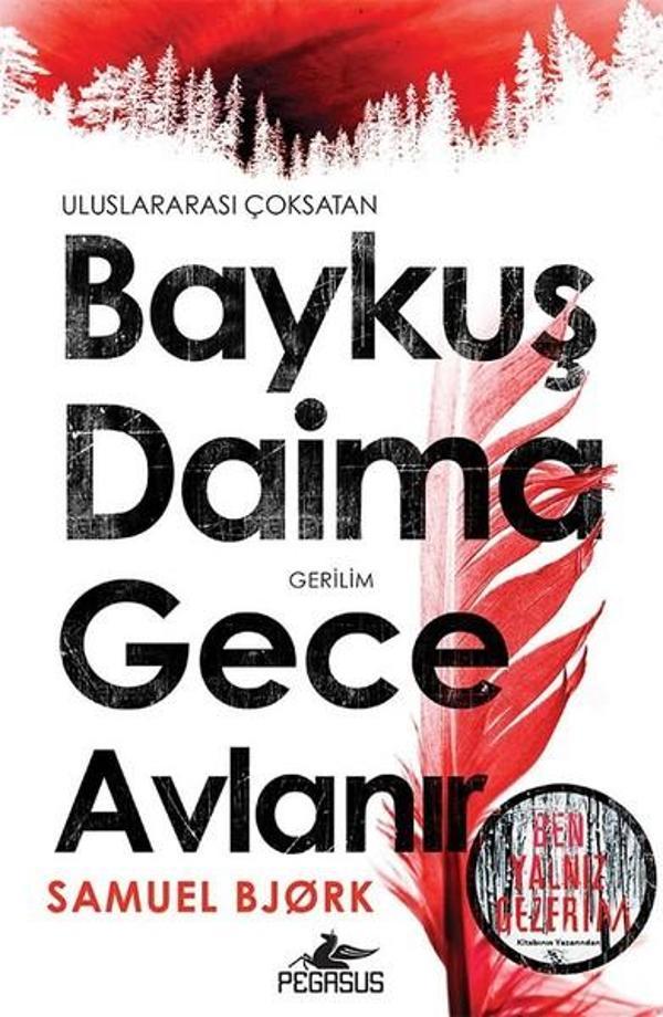 Baykuş Daima Gece Avlanır - Pegasus Yayınevi - Image 1