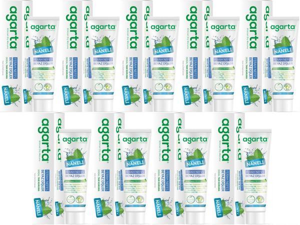 Agarta Doğal Diş Macunu 100ML Naneli (9 Lu Set) - Image 1