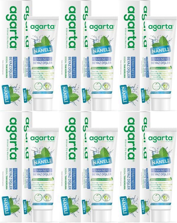 Agarta Doğal Diş Macunu 100ML Naneli (6 Lı Set) - Image 1