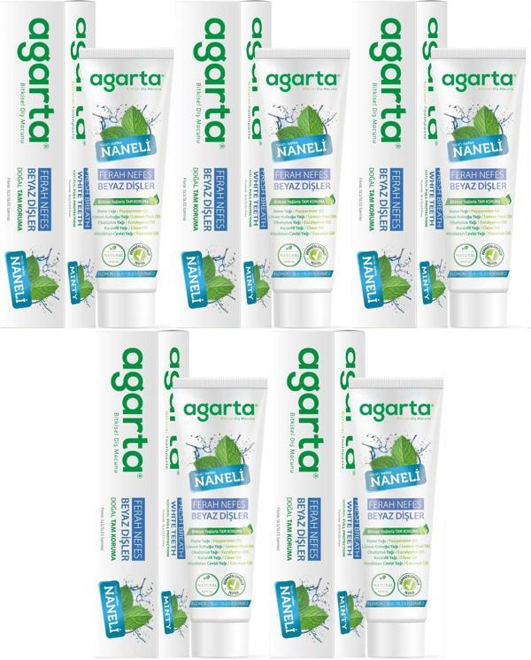 Agarta Doğal Diş Macunu 100ML Naneli (5 Li Set) - Image 1