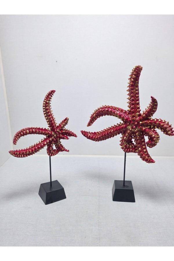 Frefly Store Deniz Yıldızı Biblo, Polyester, Turuncu, 40X20 - Image 1