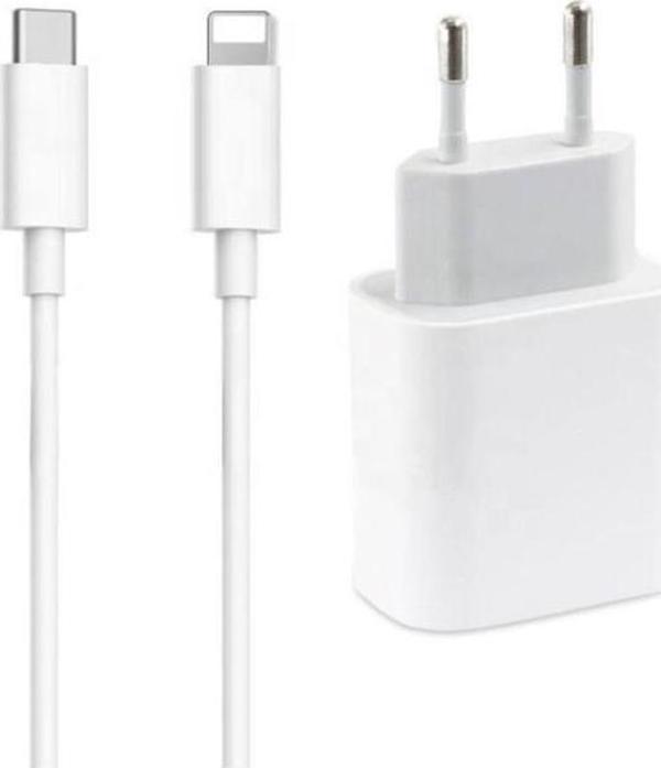 Sesatech Apple Uyumlu Iphone 20w Hızlı Şarj Cihazı - Image 1