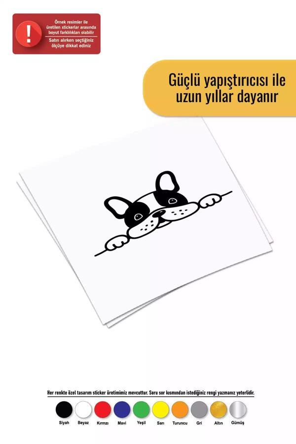 Kıvırcık Yoga Bagajdan Bakan Bulldog Sticker Oto Motor Laptop Duvar Folyo Sticker 60X36 Cm - Image 1