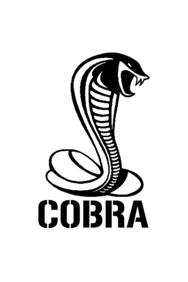 Kıvırcık Yoga Cobra Oto Motor Laptop Duvar Folyo Sticker 20 X 30 Cm - Image 1