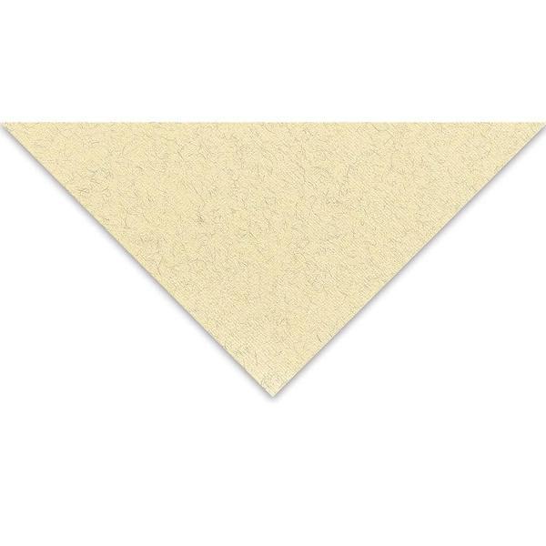 Supertrend Tiziano Çok Amaçlı Fon Kartonu 160 gr. 50x65 cm 5'li Paket YUMURTA - ZABAIONE - Image 1