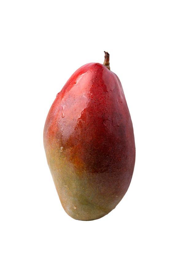 Gülen Bahçe Mango - Meyvelerin Kralı Yerli Mango 1 Adet - Image 1