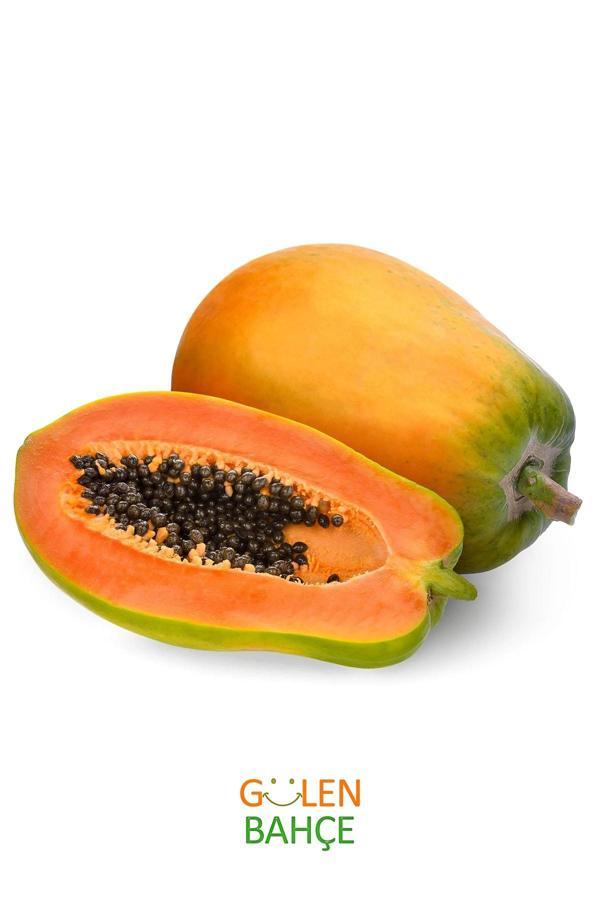 Gülen Bahçe Papaya Doğal Yerli (1 Adet 600 - 1200 Gr. Arası) - Image 1