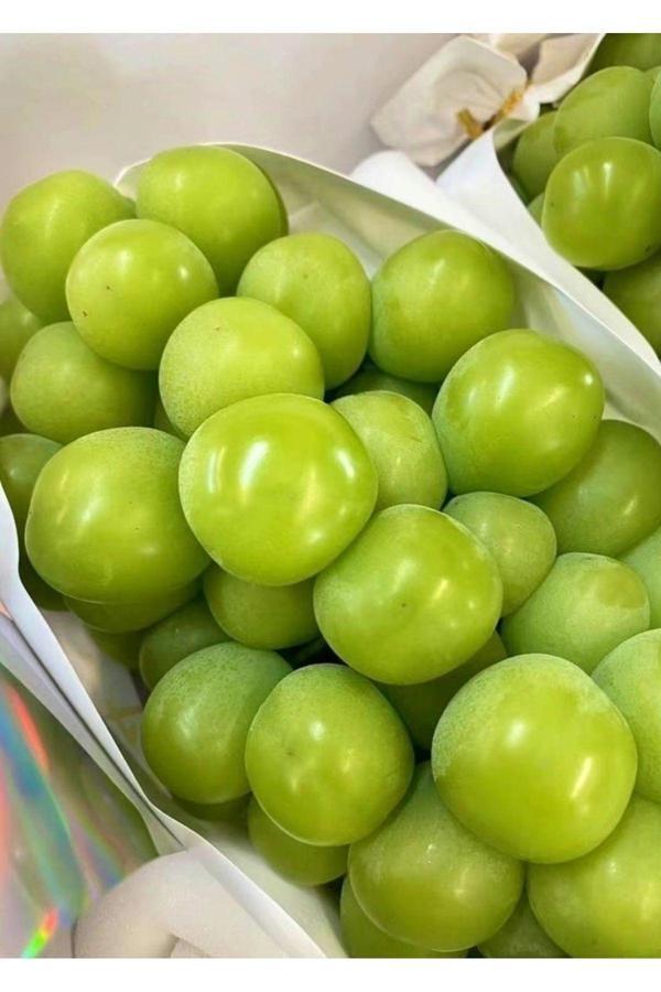 Dalından Tazecik Taze Yeşil Erik 500 Gr - Image 1