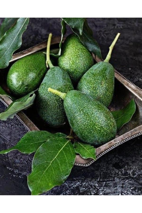 Fruit Paradise 1 Kg Taze Avokado (200 Gr Ve Üstü) - Image 1